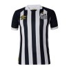 Maillot de Supporter Santos FC 2023-24 Extérieur Pour Homme